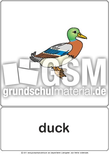 Bildkarte - duck.pdf